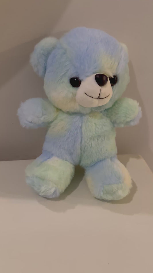 Adorable Blue & green two tone Teddy Bear Stuffed Toy – Soft & Adorable Plush Bear for Kids | Cute Gift for Boys & Girls